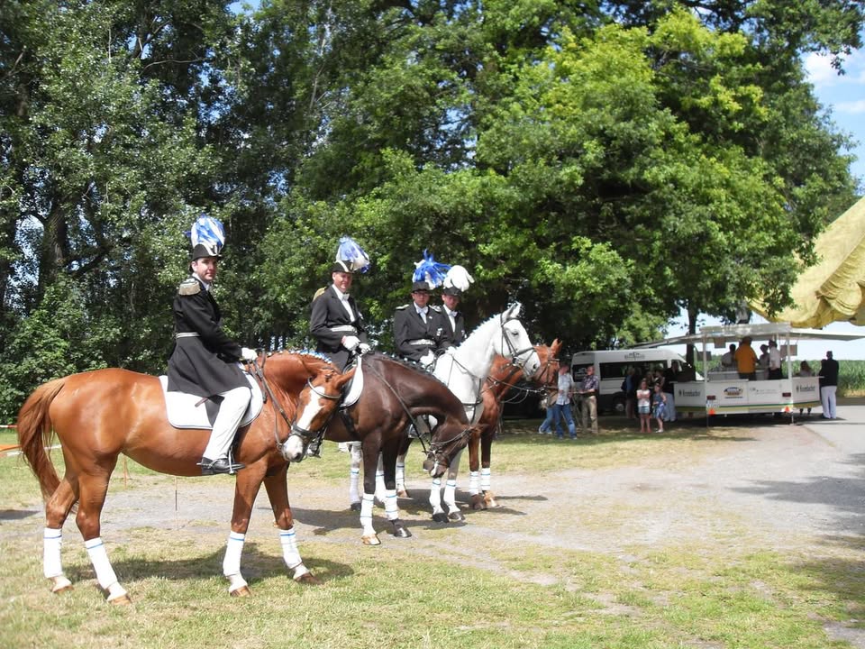 Foto 4 zum Beitrag vom 30.06.2016