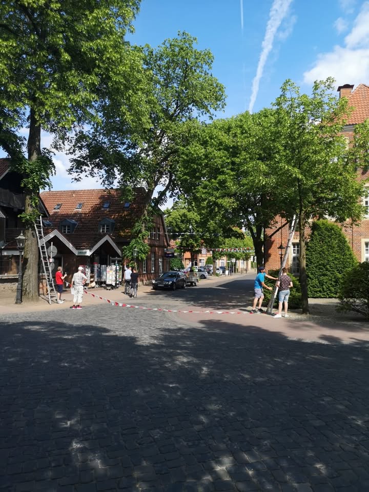 Foto 3 zum Beitrag vom 12.06.2021