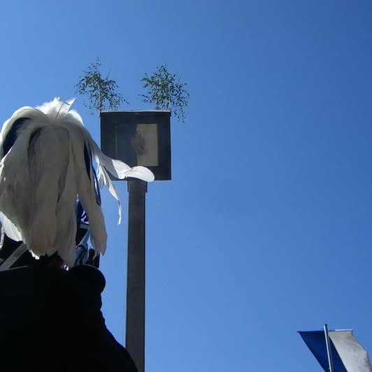 Foto 1 zum Beitrag vom 14.05.2013